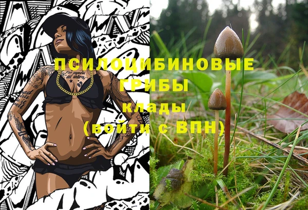 винт Алзамай