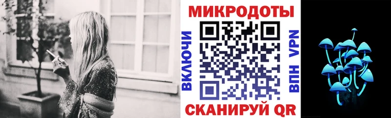 магазин продажи Новоалтайск Галлюциногенные грибы Psilocybine cubensis